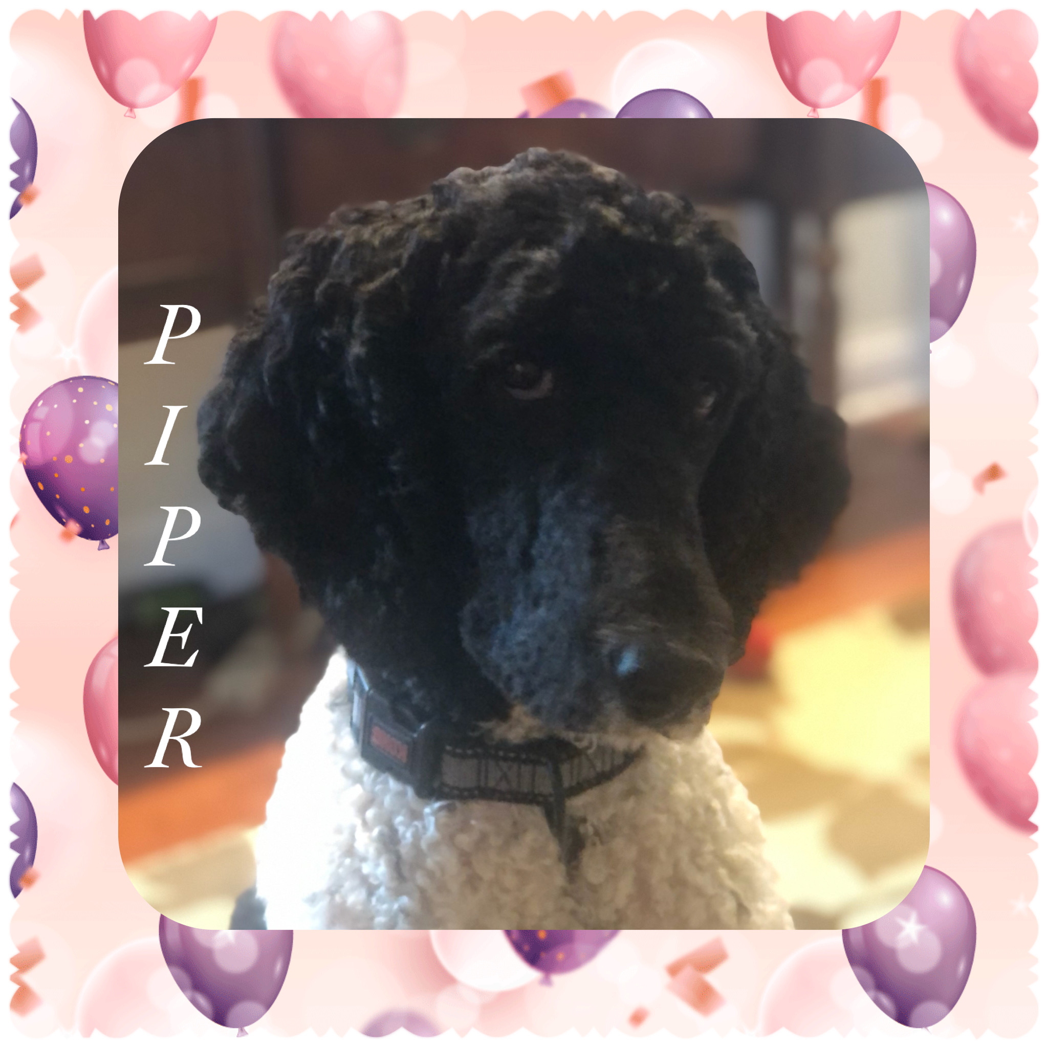 8FB434B9-D775-4462-8B29-57D291FD32E5