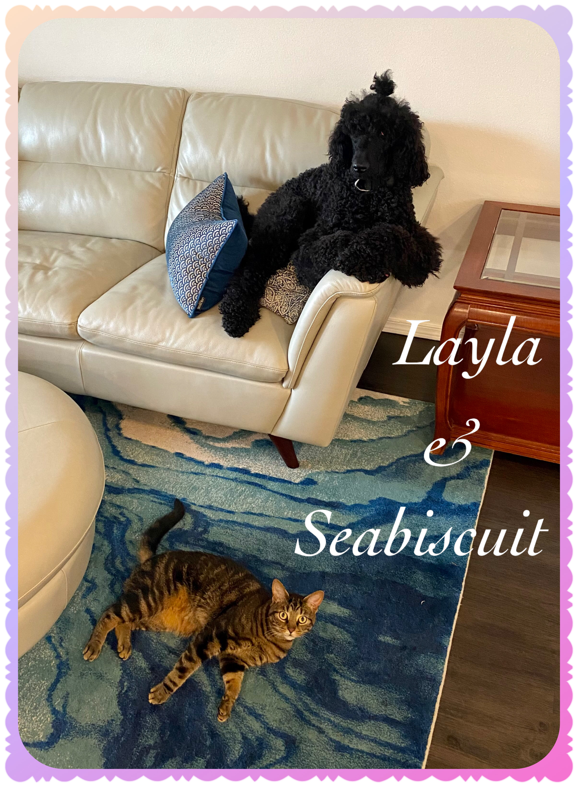 CFCED7C9-6CF8-442E-B3FC-E8EA8129AF8C