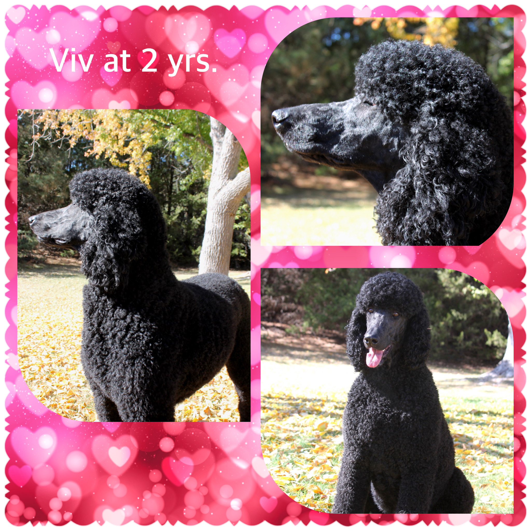 8DD3A404-3FEA-4CCD-89AE-7EE20C6410C4