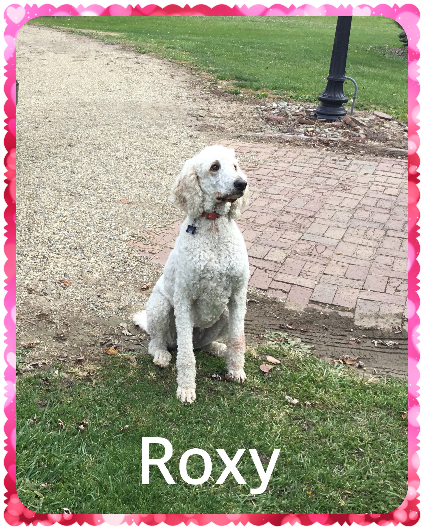 CD130155-CDA8-4A74-ADD0-5547FC213D0A