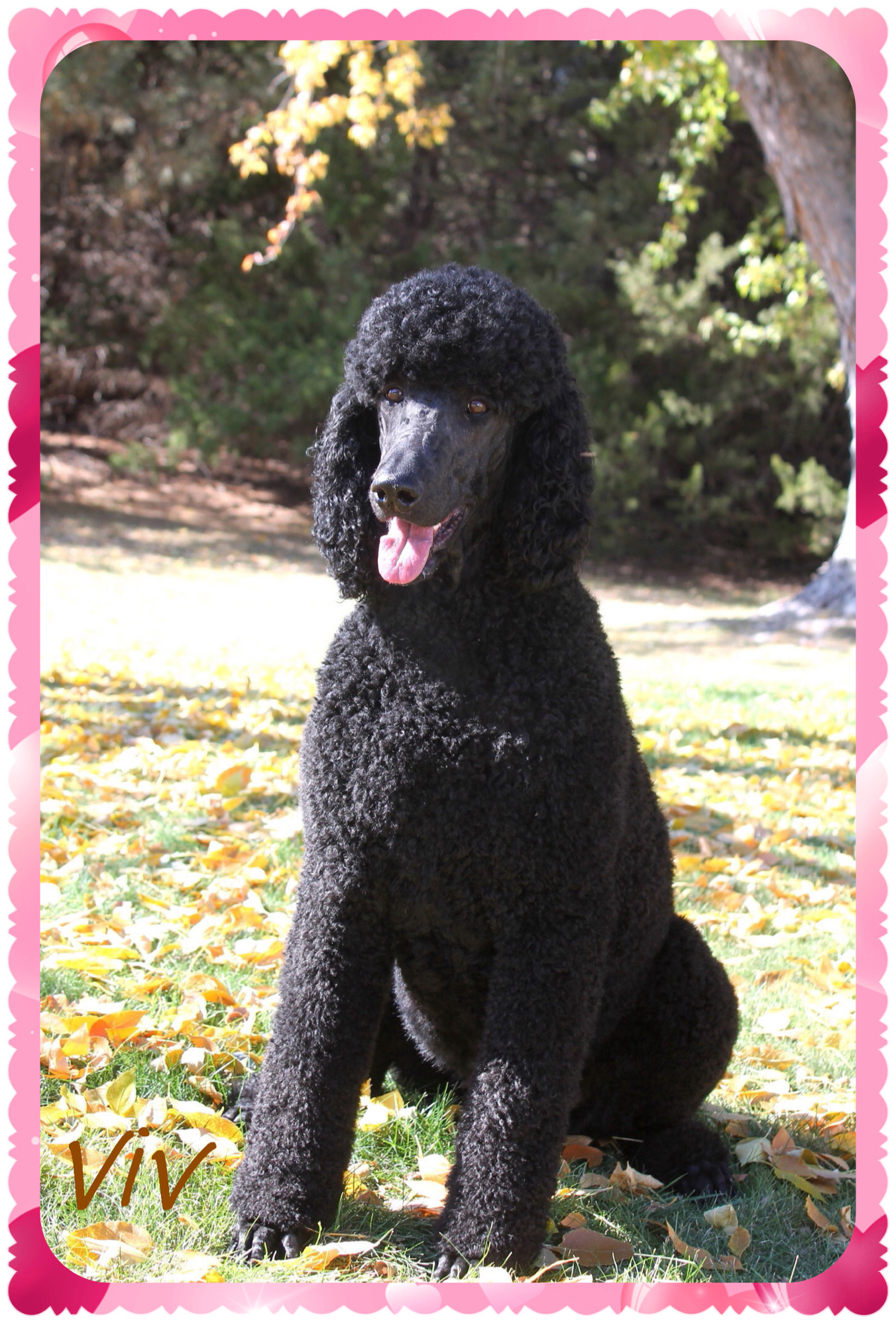 E7E8C137-FB1B-4B73-BC7F-BA5568B8B3B0