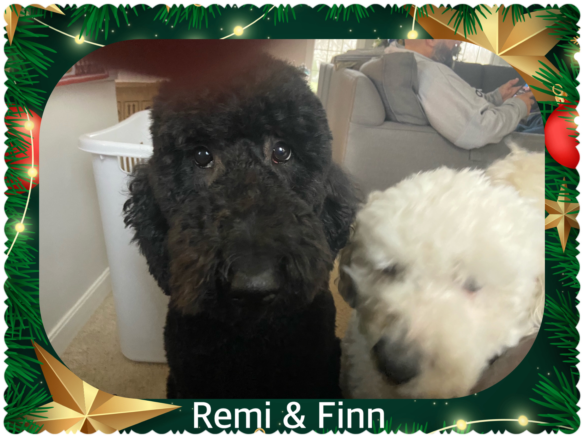 CEDB0277-CCE5-4CDE-AB24-BFFF36402D1E