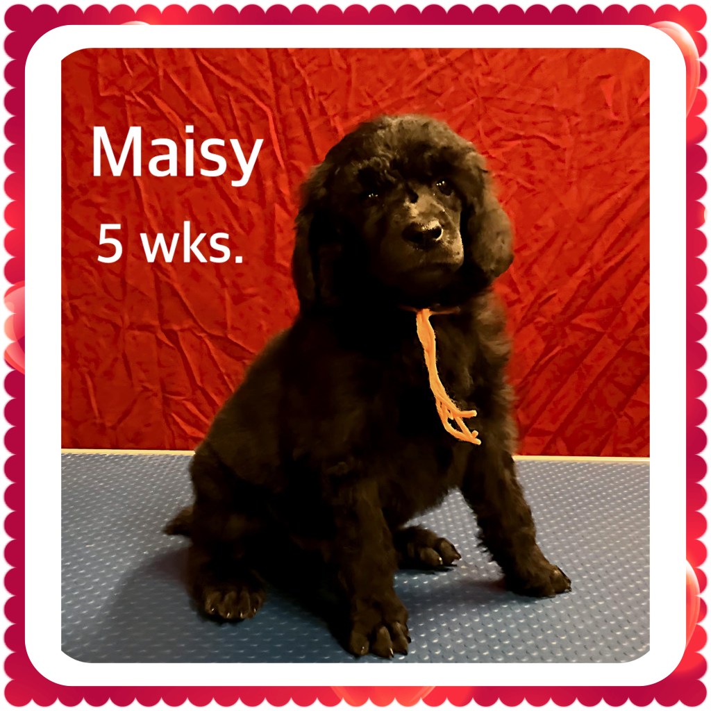 This image has an empty alt attribute; its file name is img_7360.jpeg