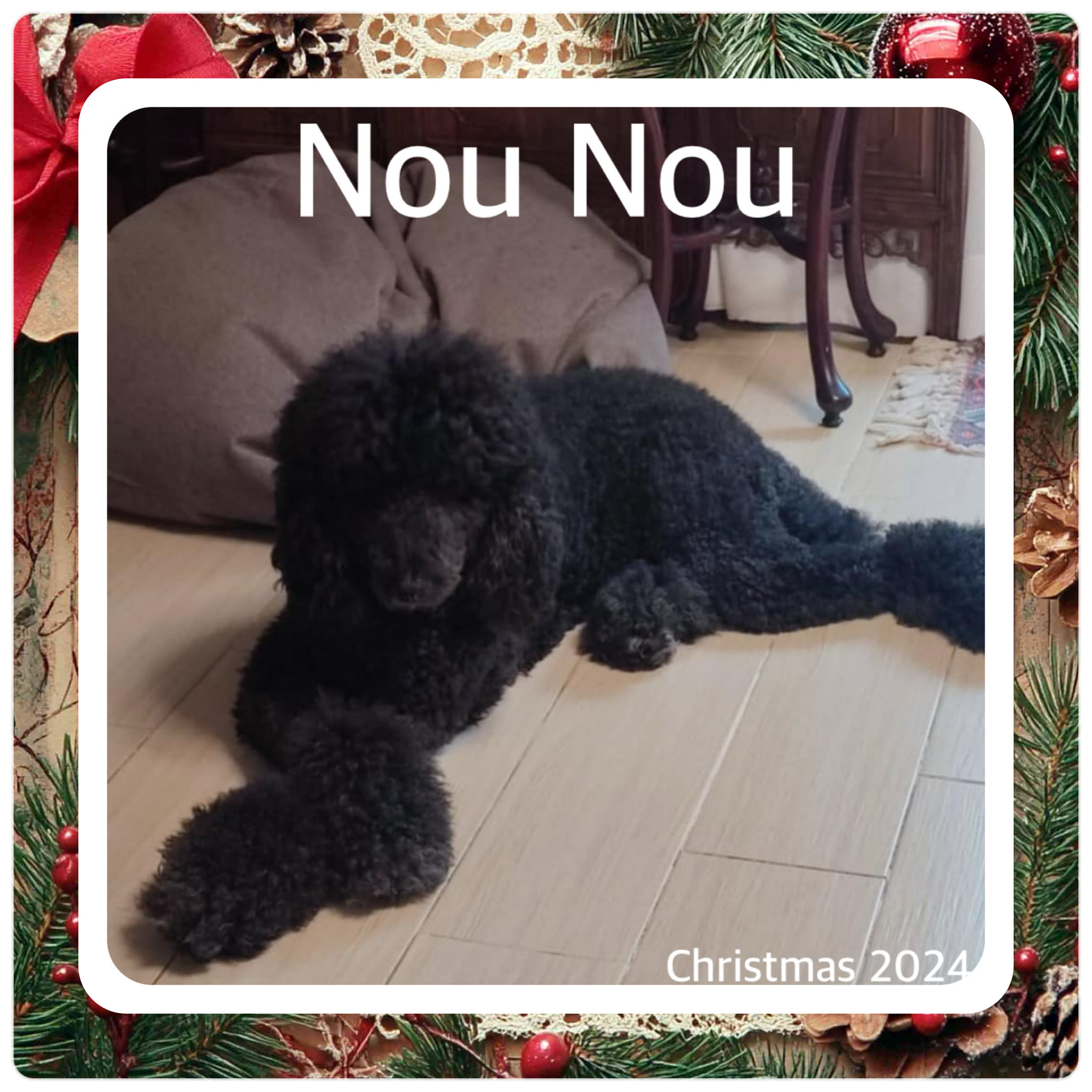 created by photogrid